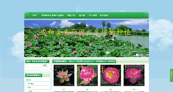 Desktop Screenshot of bydxhy.com
