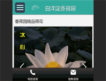 Tablet Screenshot of bydxhy.com